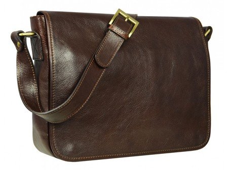 Dark Brown And Simple Leather Messenger Bag